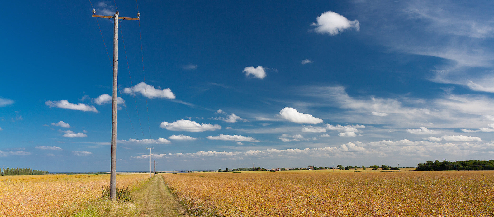 Wood utility pole in an open field